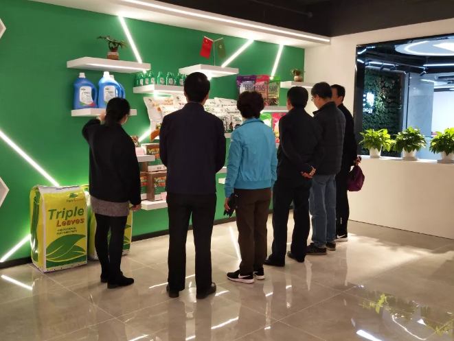 5e0021728cbb5.png image.png