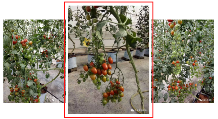 5e53752b4b6af.png image.png