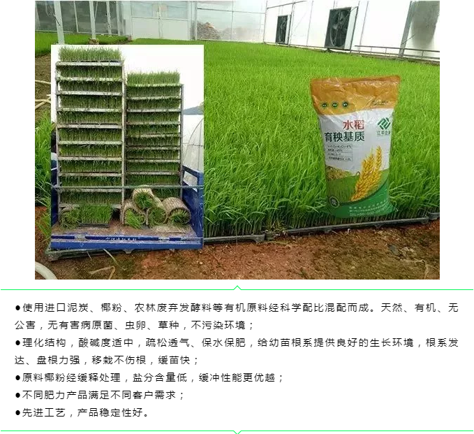 5e53777e15c1c.png image.png