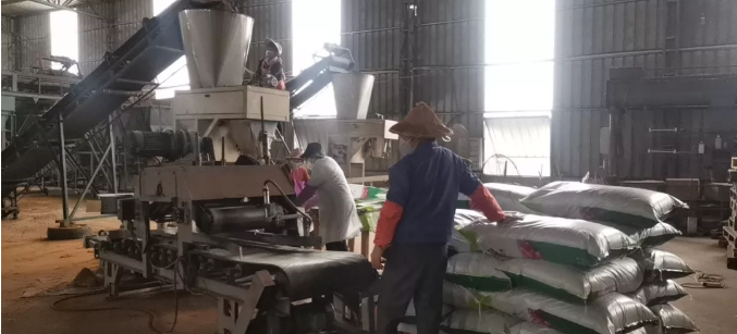 5e5377b9a41cb.png image.png