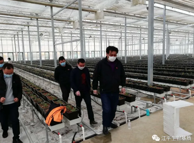 5e72c27a75216.png image.png