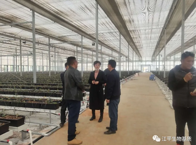 5e858787566bf.png image.png