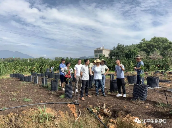 5f28f6a92bf35.png 圖片.png