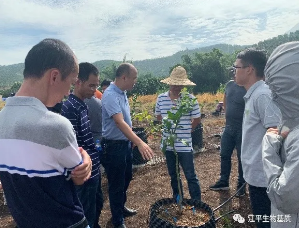 5f28f70e2a6ed.png 5f28f70e2a6ed.png