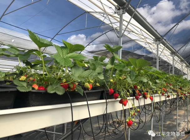 5f6adeca76cc0.png 圖片.png