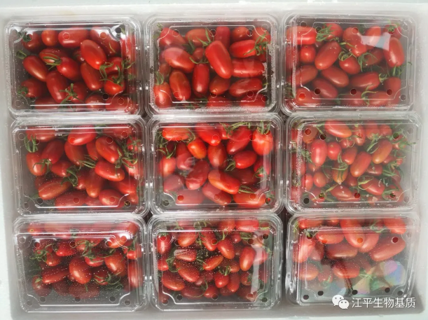 5f6adf23a426a.png 圖片.png