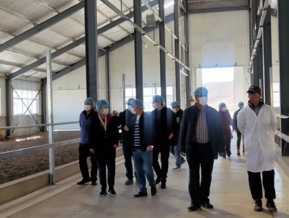 5fab9154d8ccd.png 圖片.png