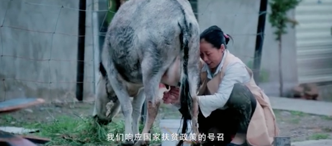 5fad03ec310ed.png 圖片.png