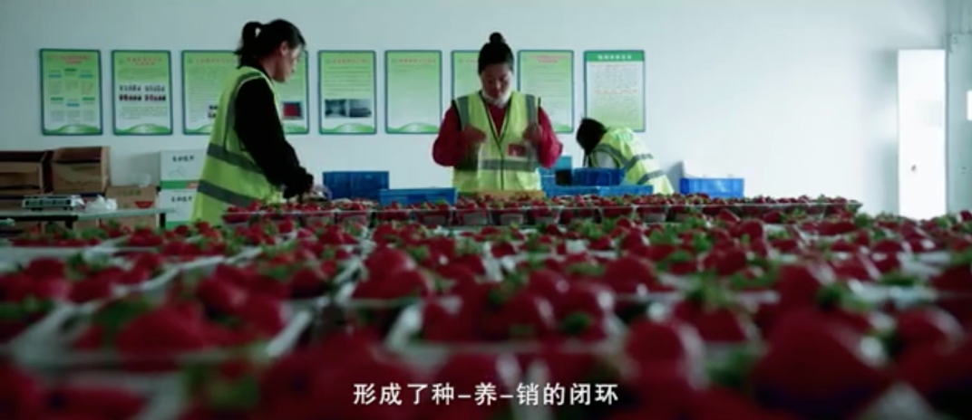 5fad046ad9710.png 圖片.png