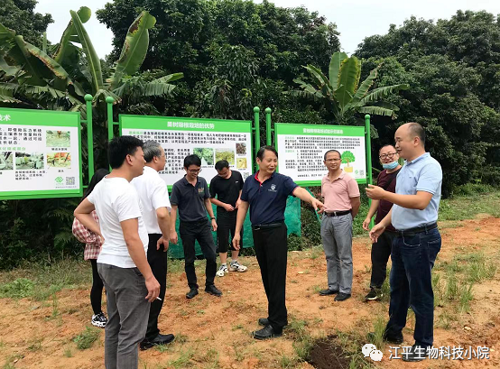 5fb4c1afa42c8.png 圖片.png